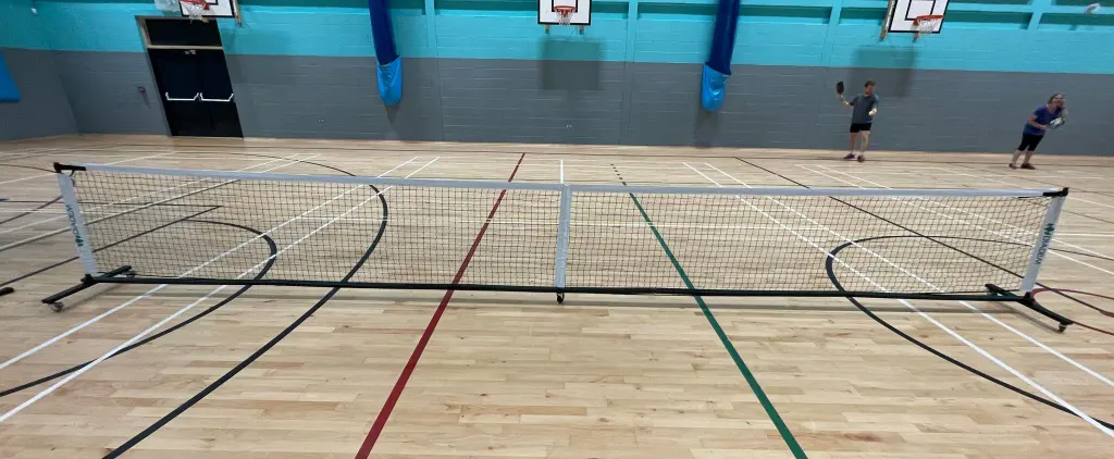 Diadem pickleball net full